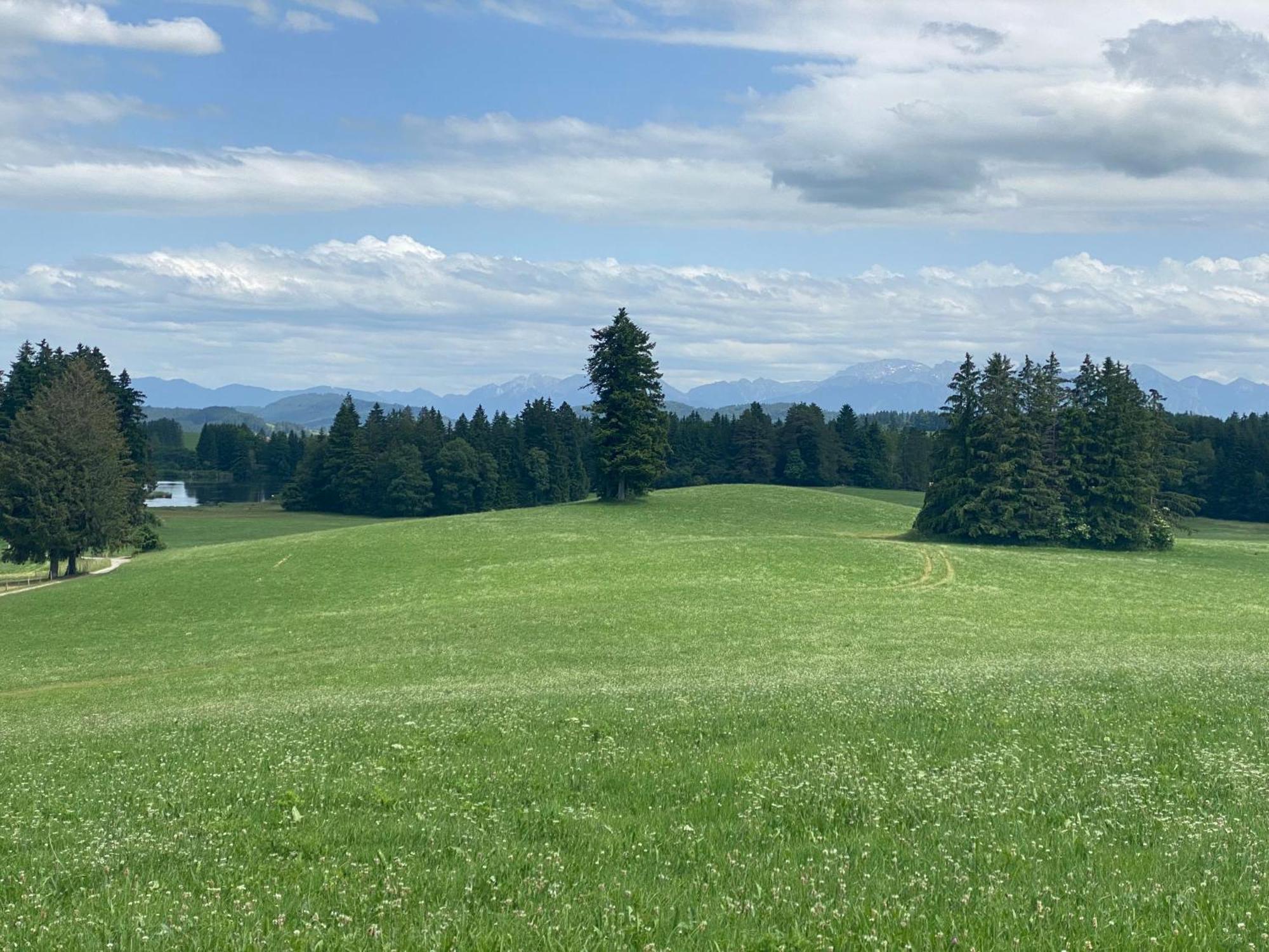 "Allgaeu-Herzl" Alpenchalet Fuer Zwei Ruckholz Εξωτερικό φωτογραφία